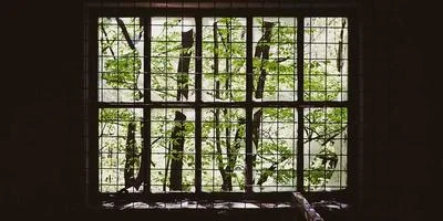 QQ空间案例展示